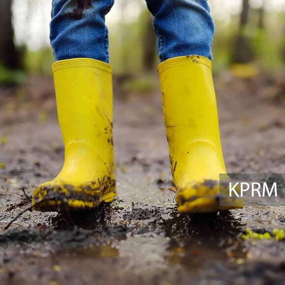 Women's Black Polka Dot Print Waterproof Mid Calf Rubber Comfort Insole Boot - Picture 6 of 7